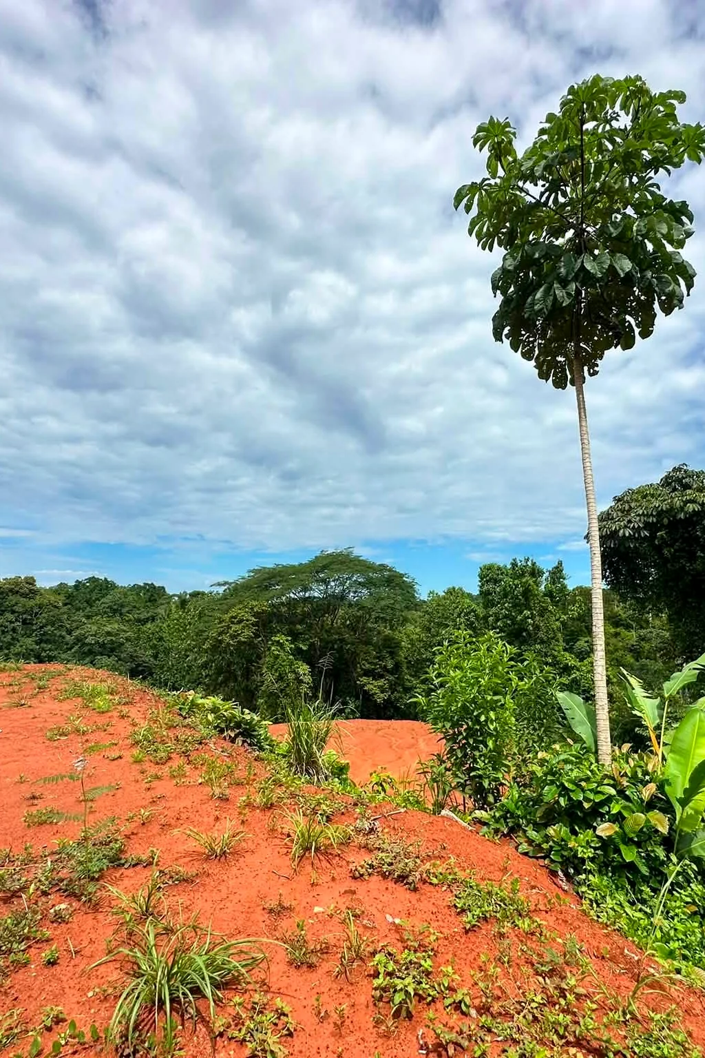 BuyLand Costa Rica