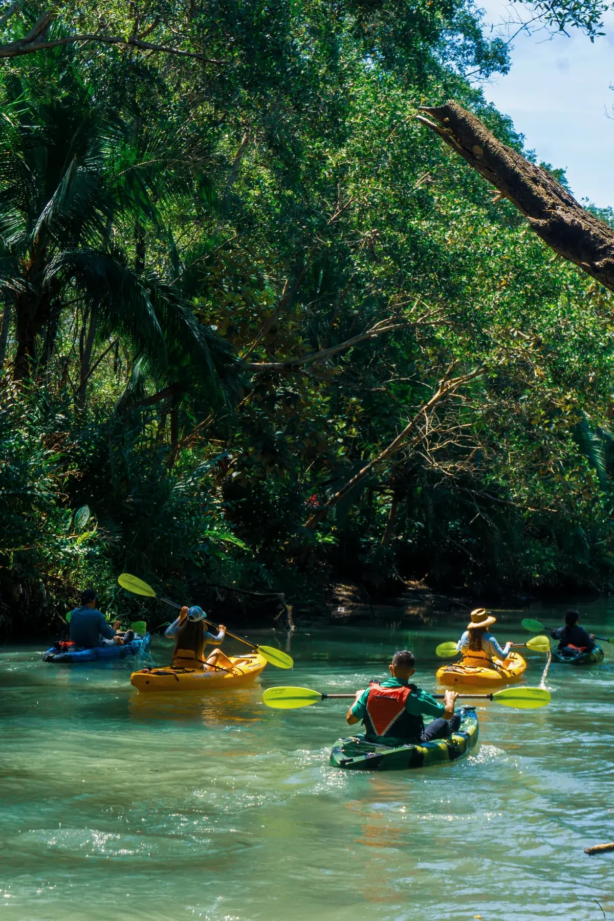 Cambute Mangrove Tours